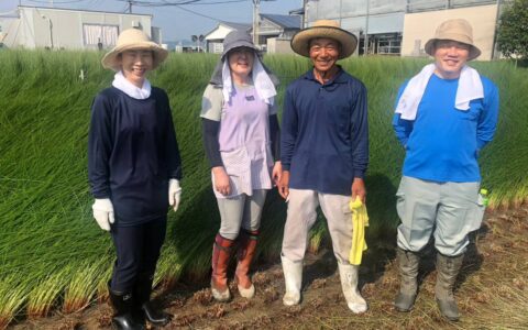 藺草農家早川様と